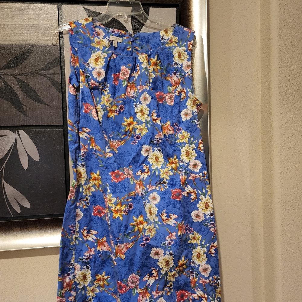 Vibrant Blue Flower Print Dress Work/Office